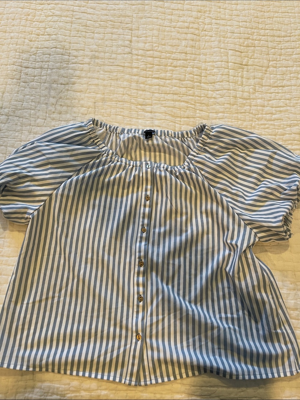 Ann Taylor Blue and White Striped Top